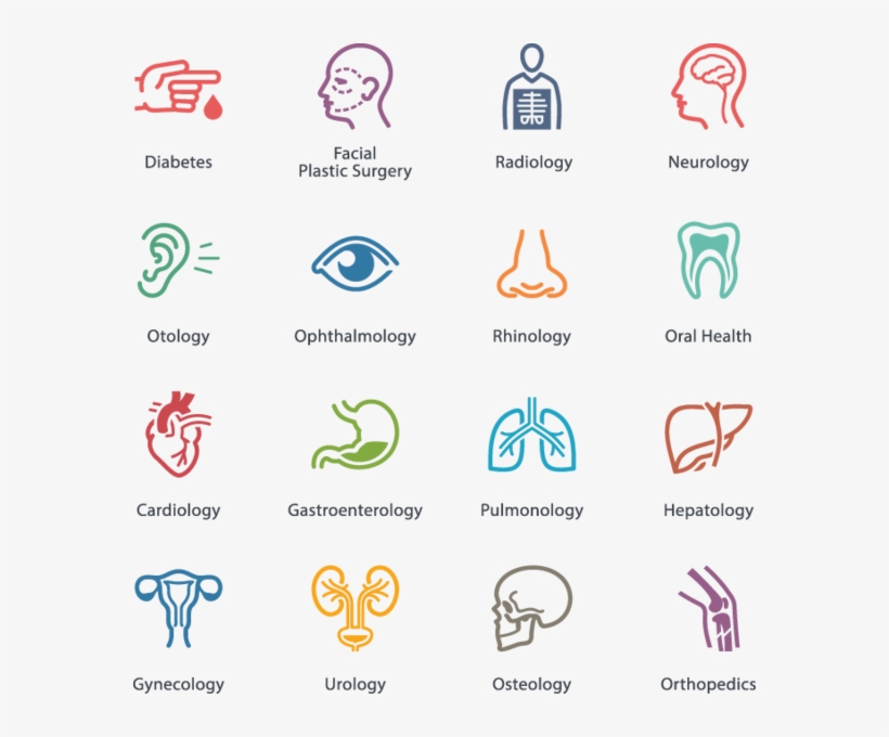 644 Health Icons - Medical Specialties Icons, transparent png #9686622
