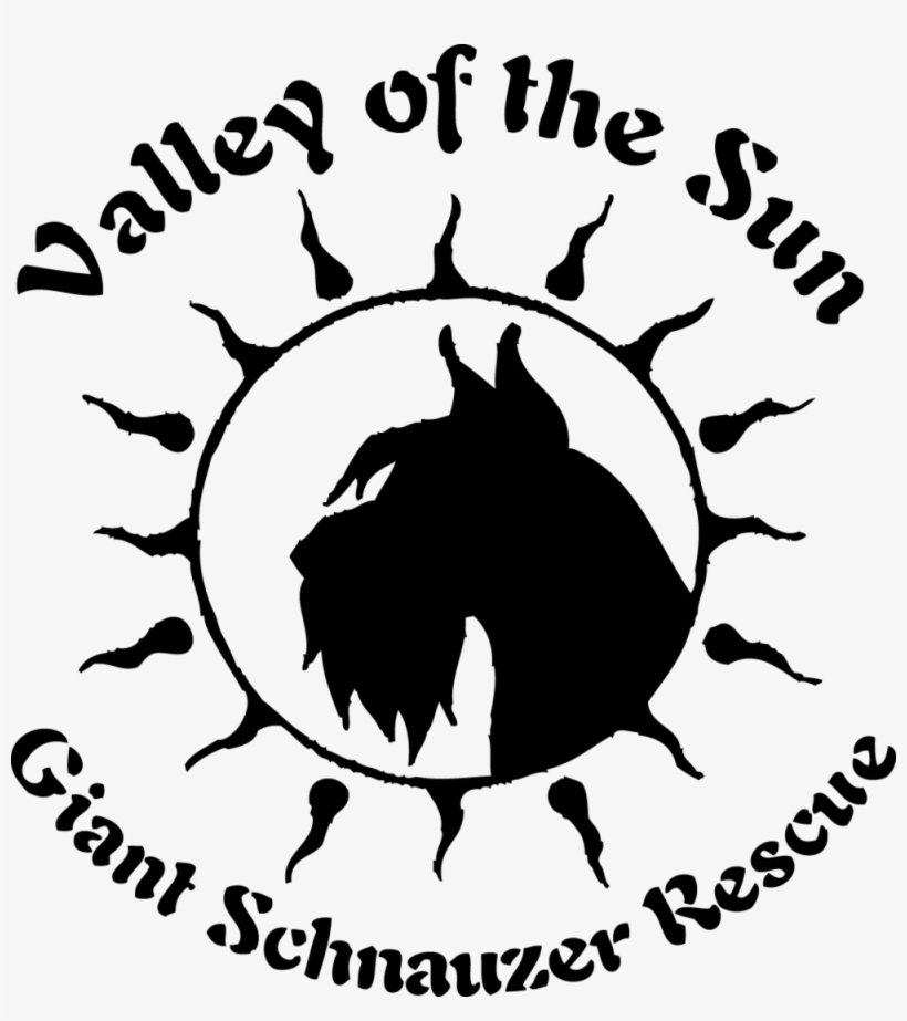 Women's Anvil T-shirt 6 Design Options Multiple Color - Stencil Designs, transparent png #9687092