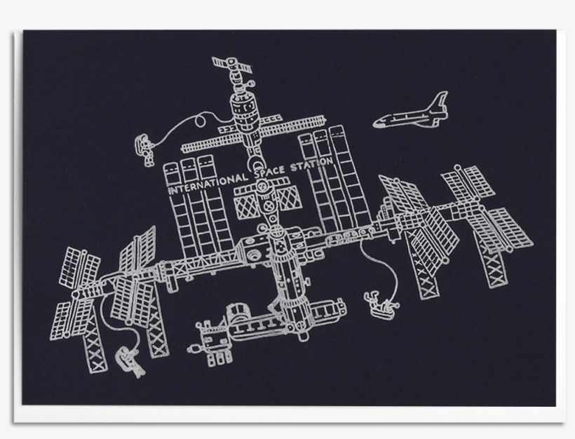 Space Station - Indian Elephant, transparent png #9687143