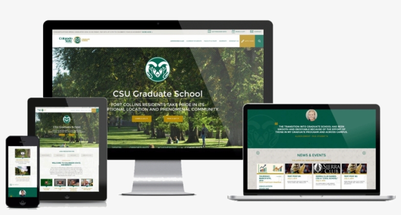 Contact Us If You Have Questions About Website Development - Colorado State University, transparent png #9687543
