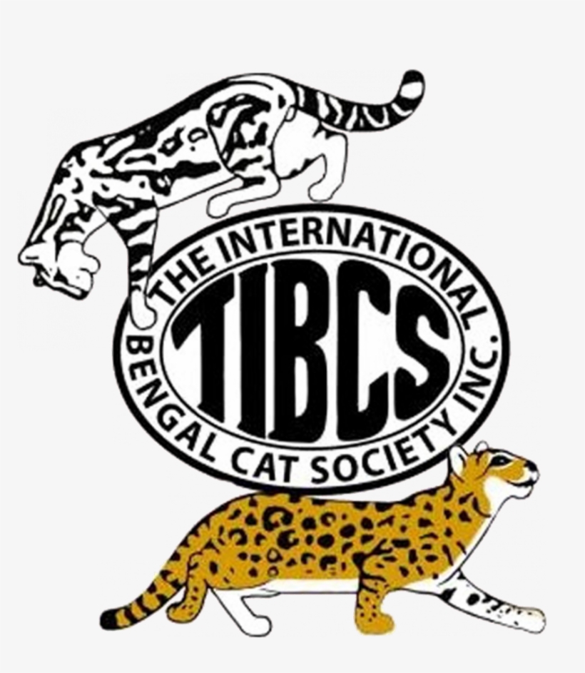 What Is The Tibcs Association - Alfonso National High School, transparent png #9687776