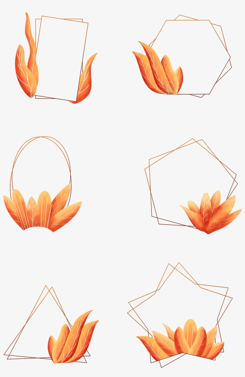 Coral Orange, Orange Color, Leaf Border, Plant Leaves,, transparent png #9688585