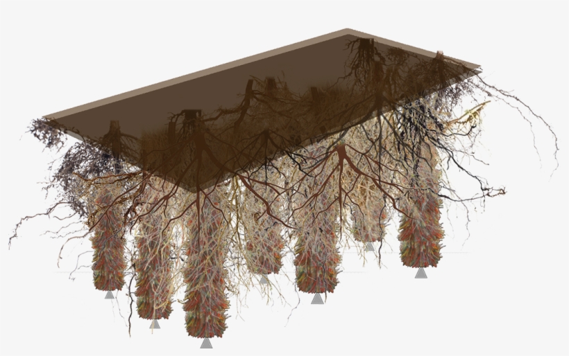 Increased Waterfront Value - Wood, transparent png #9689469