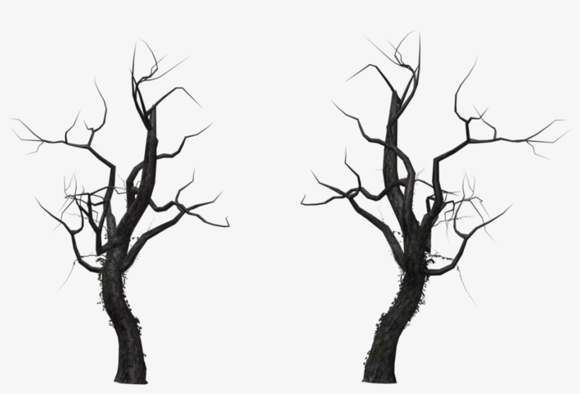 Share This - - Dead Tree Png, transparent png #9689501