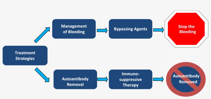 The Diagnosis And Clinical Management Of Each Person's - Acquired Hemophilia, transparent png #9691727