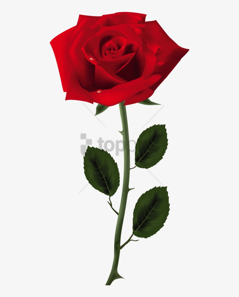 Free Png Rose Png Image With Transparent Background - Rose Png, transparent png #9692460