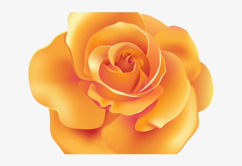 Spain Clipart Beauty And The Beast Rose - Orange Rose Clipart Png, transparent png #9692856