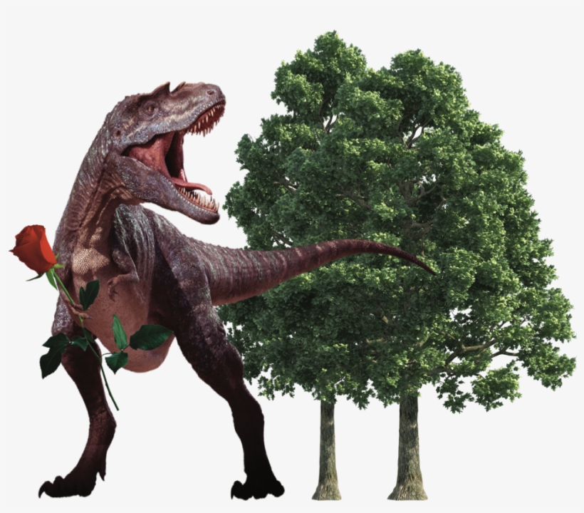 Out Of The Garden, Into The Woods - Realistic Tree Vector Png, transparent png #9693712