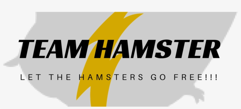 Cropped Tshirt Logo New - Anatel, transparent png #9693831