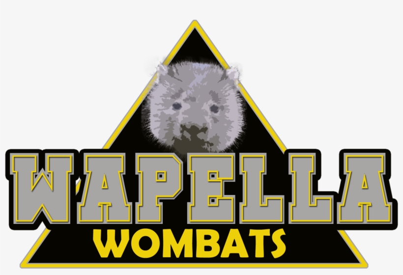 Whs Wombats - Hamster, transparent png #9694503