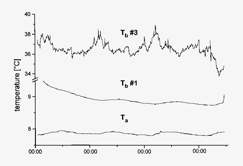 Fluctutations Of Body Temperature During Euthermy (hamster - Plot, transparent png #9694582