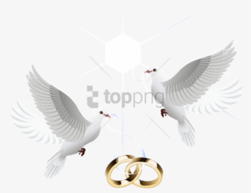 Free Png Wedding Doves With Rings Png Image With Transparent - Dove With Ring Png, transparent png #9694624