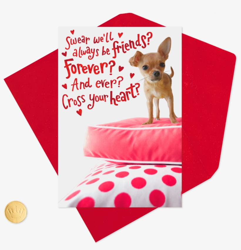 Chihuahua For My Forever Friend Valentine's Day - Chihuahua, transparent png #9694923