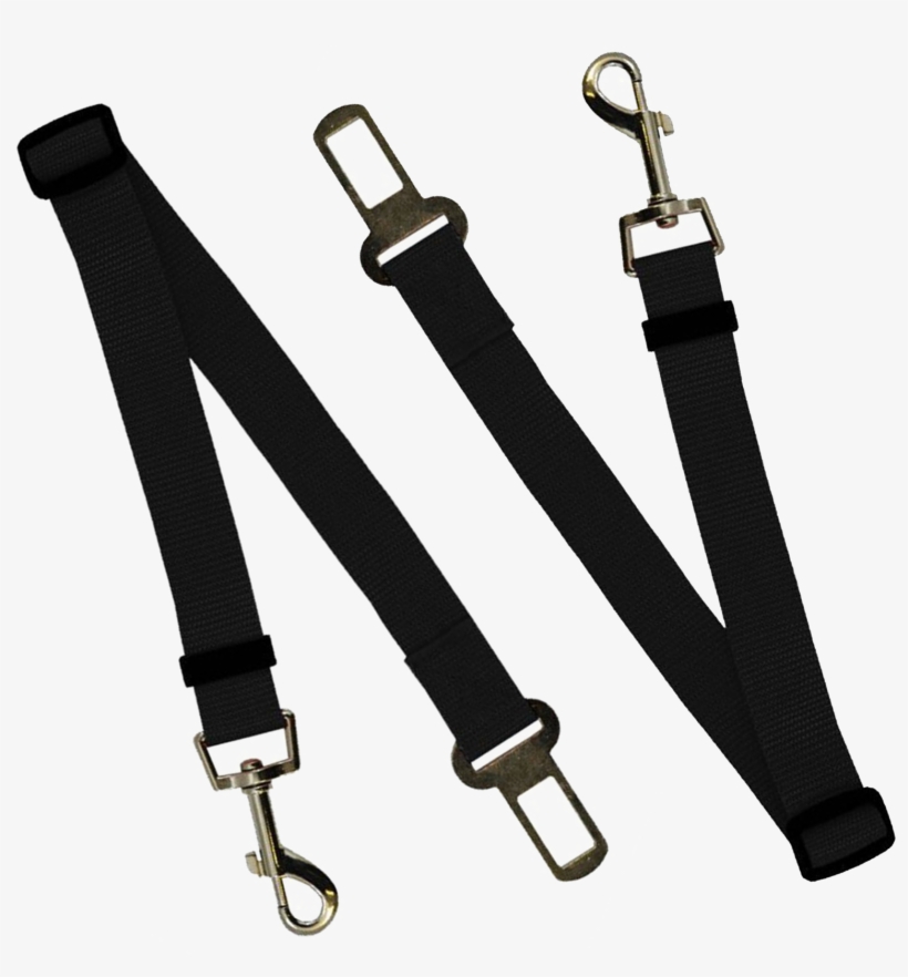 Safety Belt Png Image - Strap, transparent png #9696473