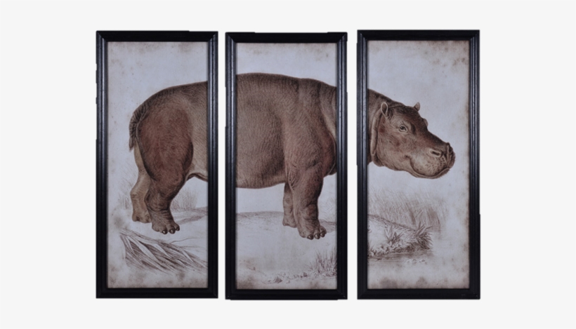 Nature Hippo Wall Art - Timothy Oulton Hippo, transparent png #9696909