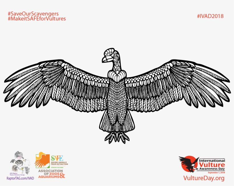 Download The - Golden Eagle, transparent png #9697428