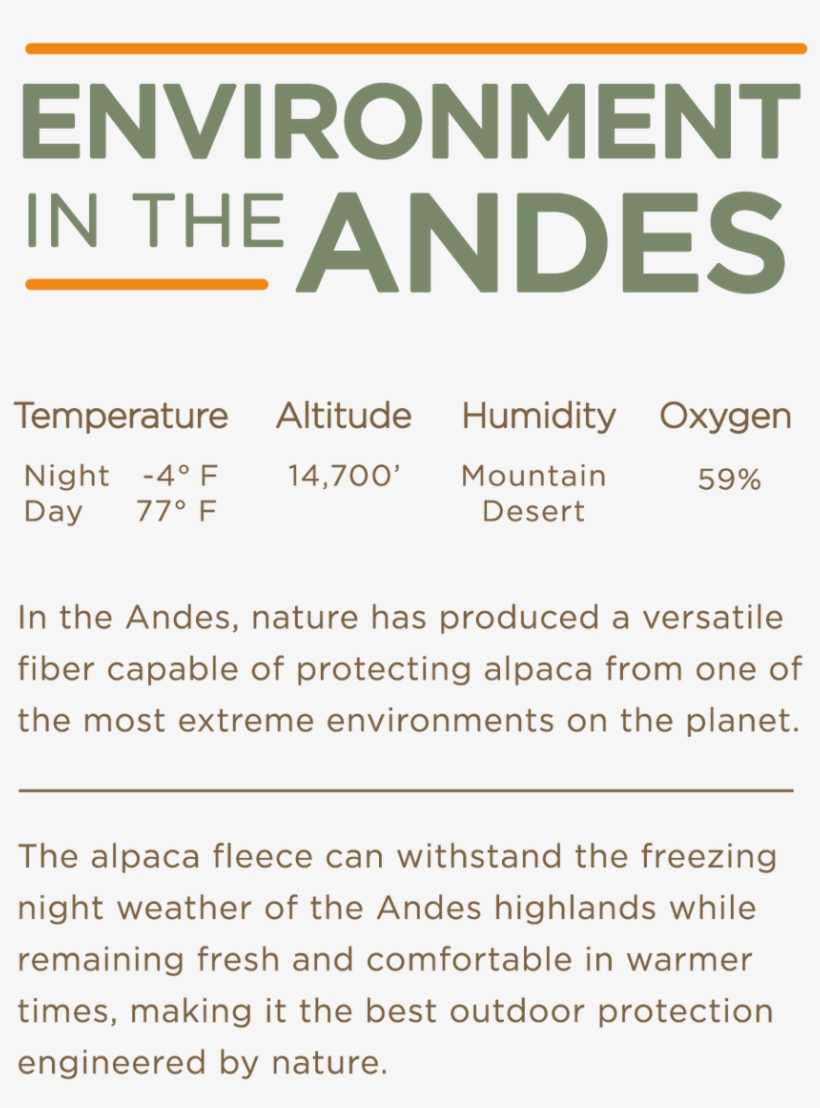 Once You Go Alpaca, - Poster, transparent png #9698215