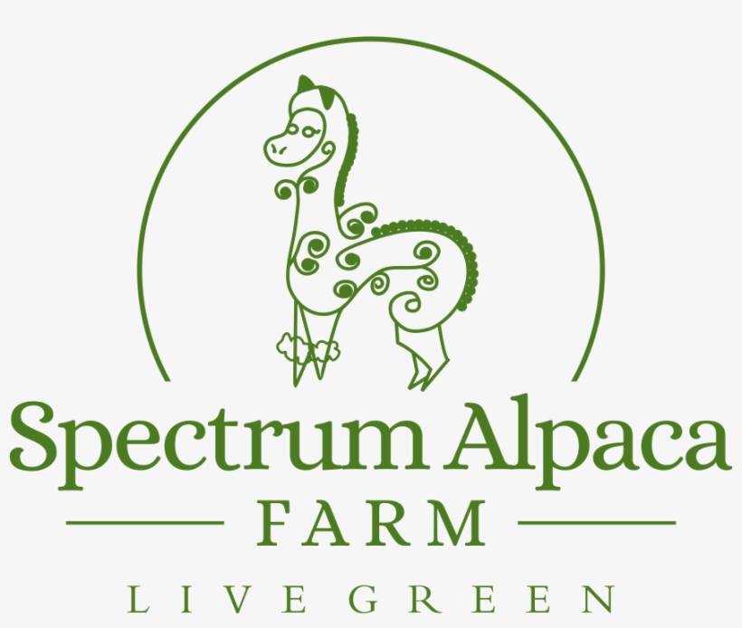 Original - Graphic Design, transparent png #9698260