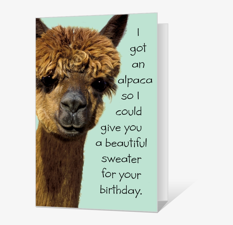 Birthday Alpaca Printable - Cards Birthday Alpaca, transparent png #9698339