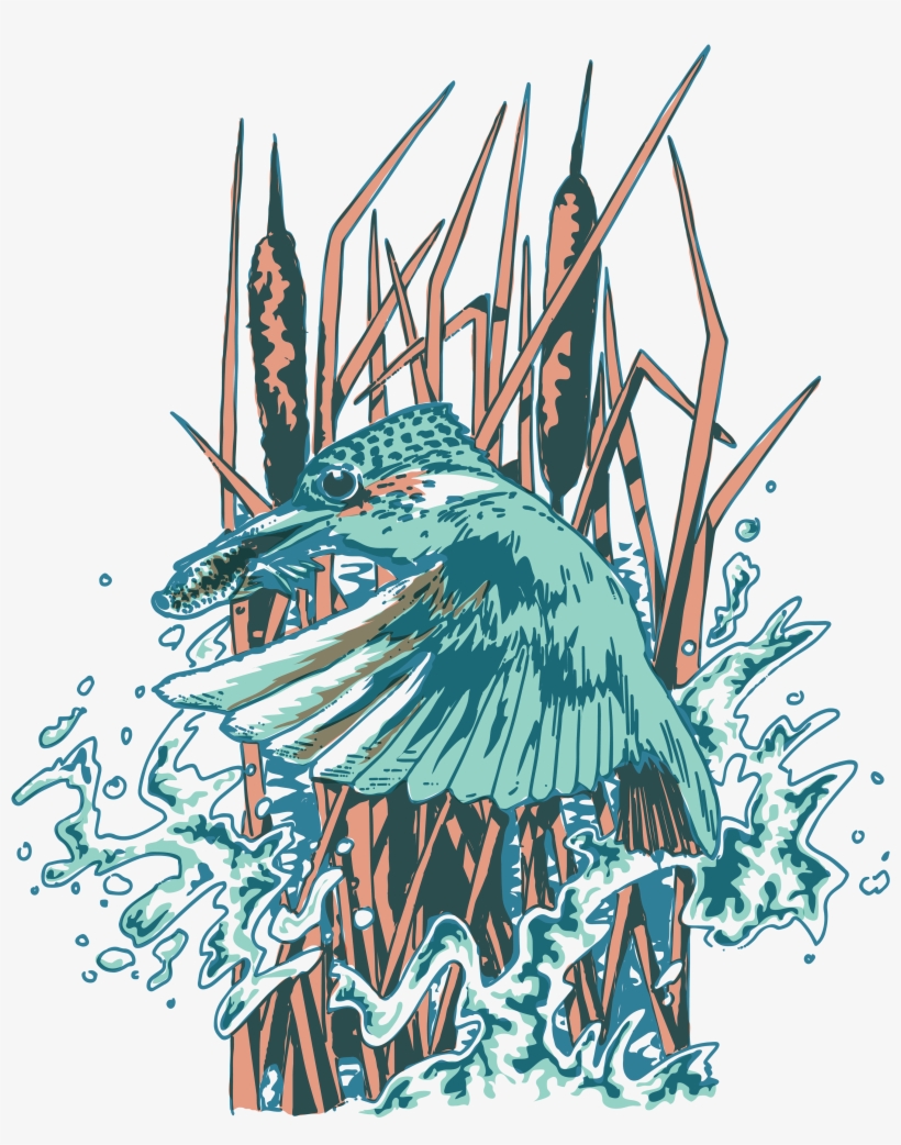 Kingfisher - Illustration, transparent png #9698487