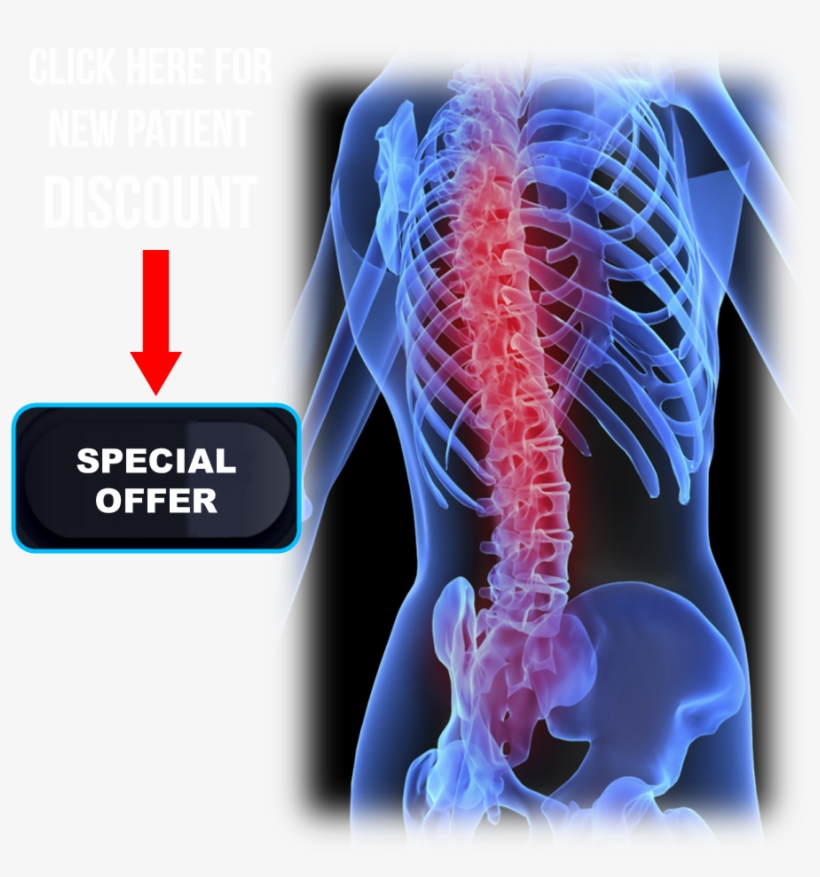 Back X Ray, transparent png #9699213