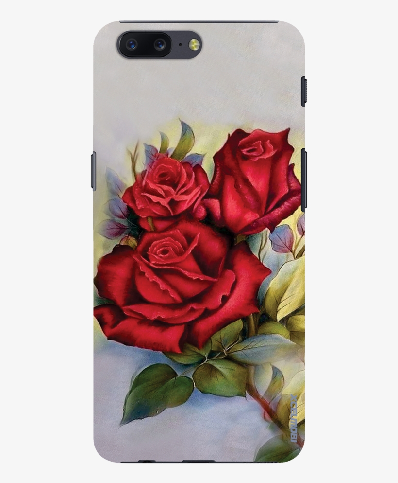 Garden Roses, transparent png #9699280