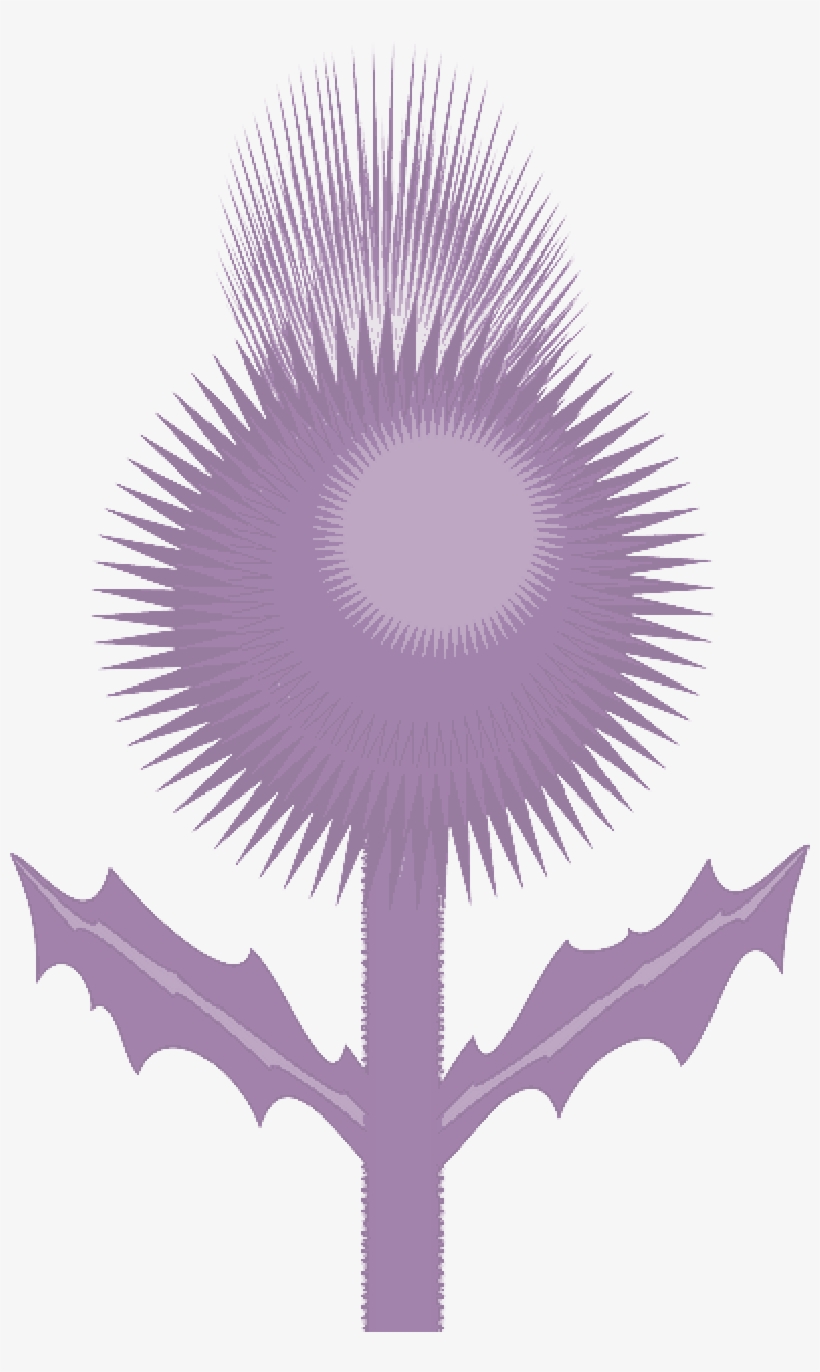Mb Image/png - Archiprix International Moscow 2013, transparent png #970014