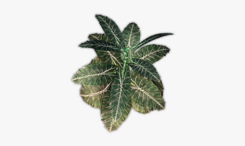 Plant Emoji Png - Houseplant, transparent png #970184