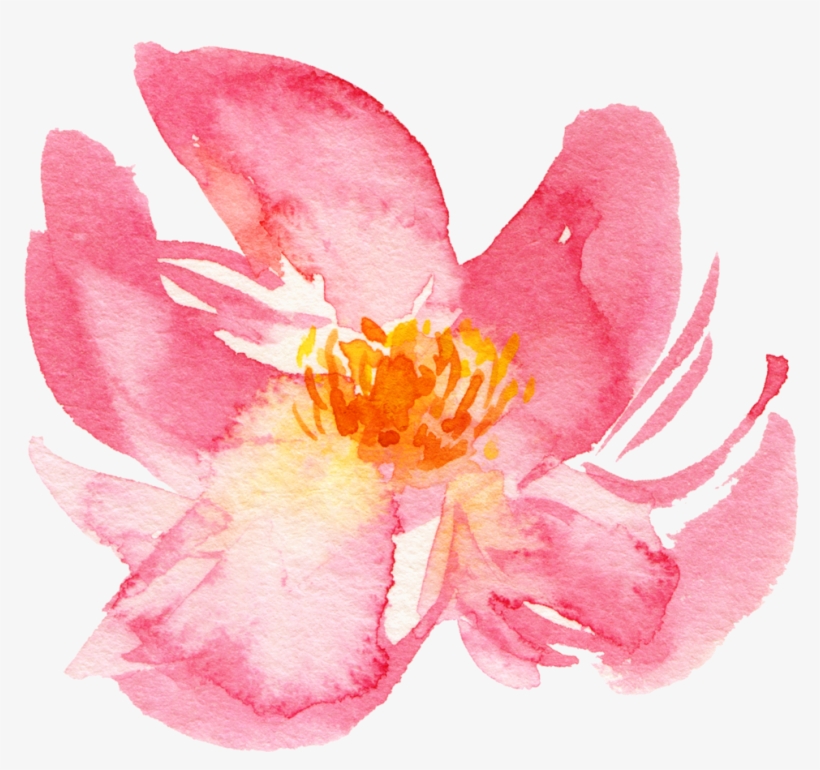 Flower Naana, transparent png #970212