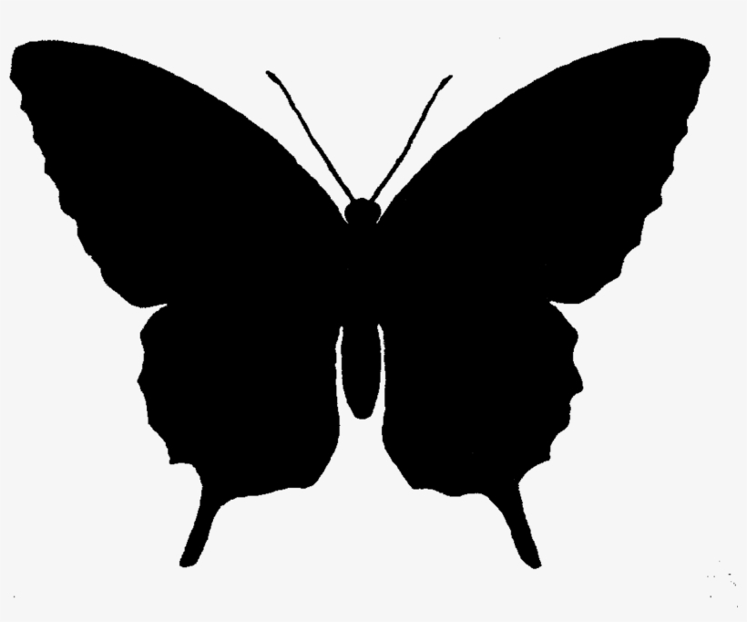 Butterfly Silhouette Png - Butterfly Silhouette, transparent png #971499