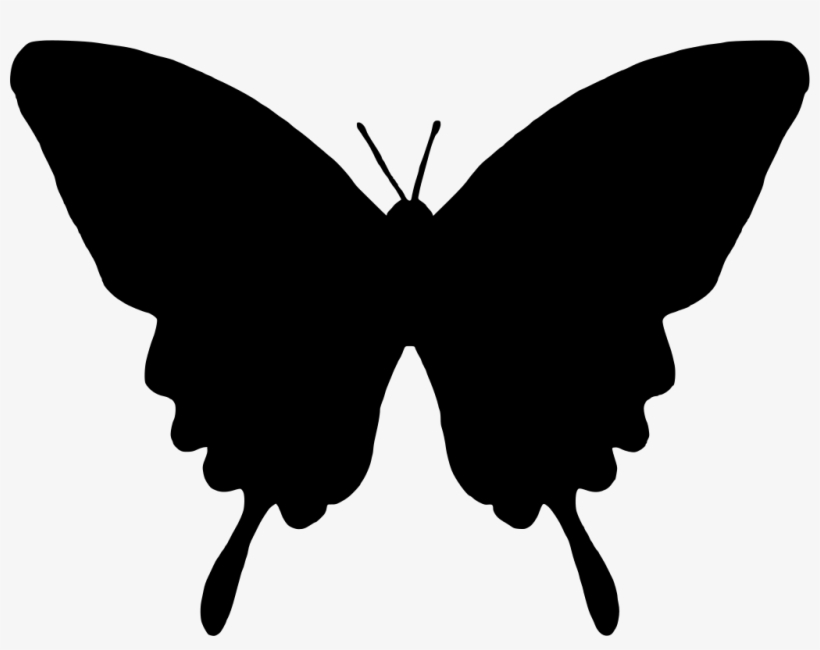 Download Png - Silhouette Of A Butterfly, transparent png #971547