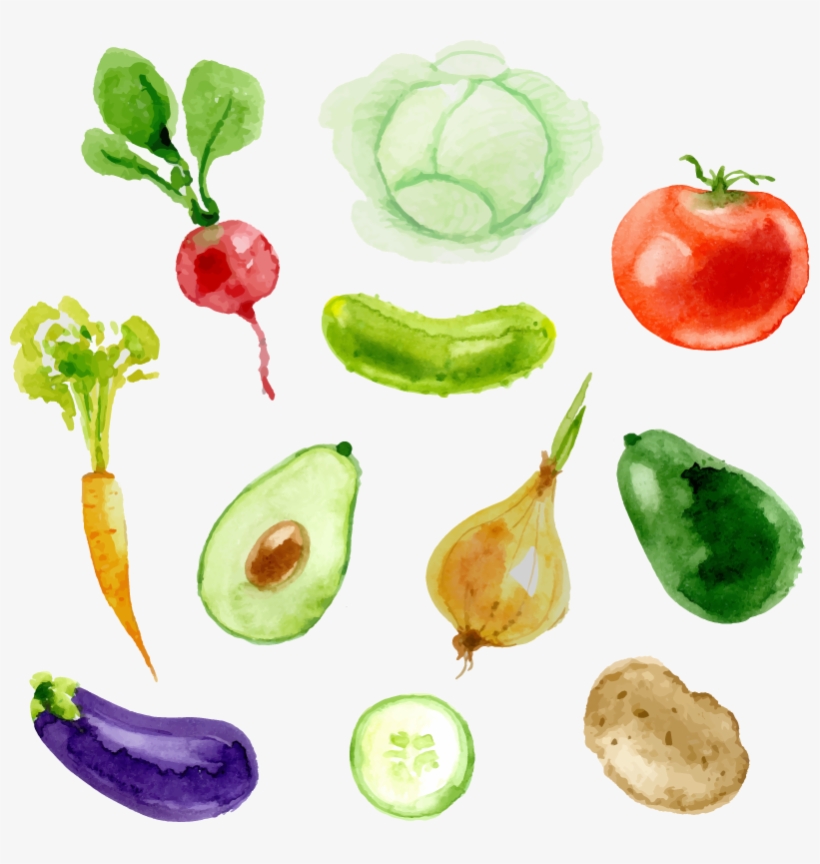 Vinilo Cocina Frutas Y Verduras - Diet Food Journal: Diet Journal To Write Th Calories, transparent png #971563