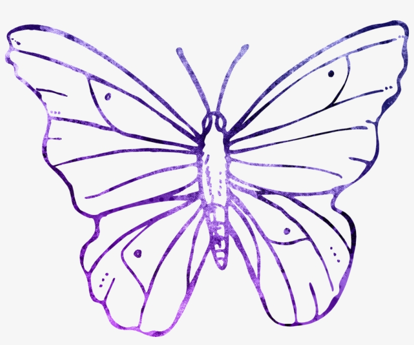 Tags - - Transparent Background Butterfly Flower Line Art, transparent png #971583