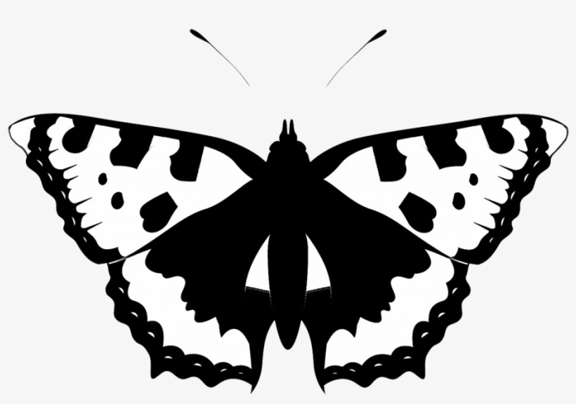Black White Butterfly Silhouette - Minimalist Butterfly, transparent png #971635