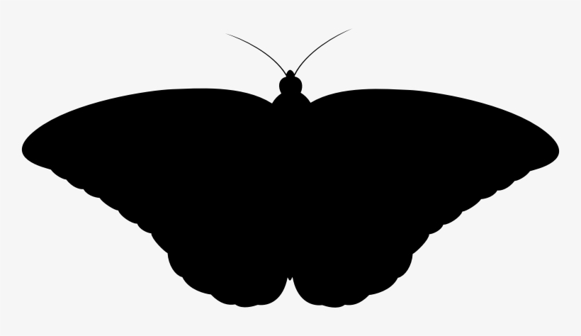 Medium Image - Butterfly Silhouette, transparent png #971828