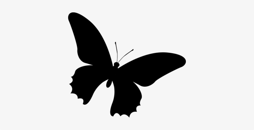 Silhouette, Butterfly, Insect - Siluetas De Insectos, transparent png #971983