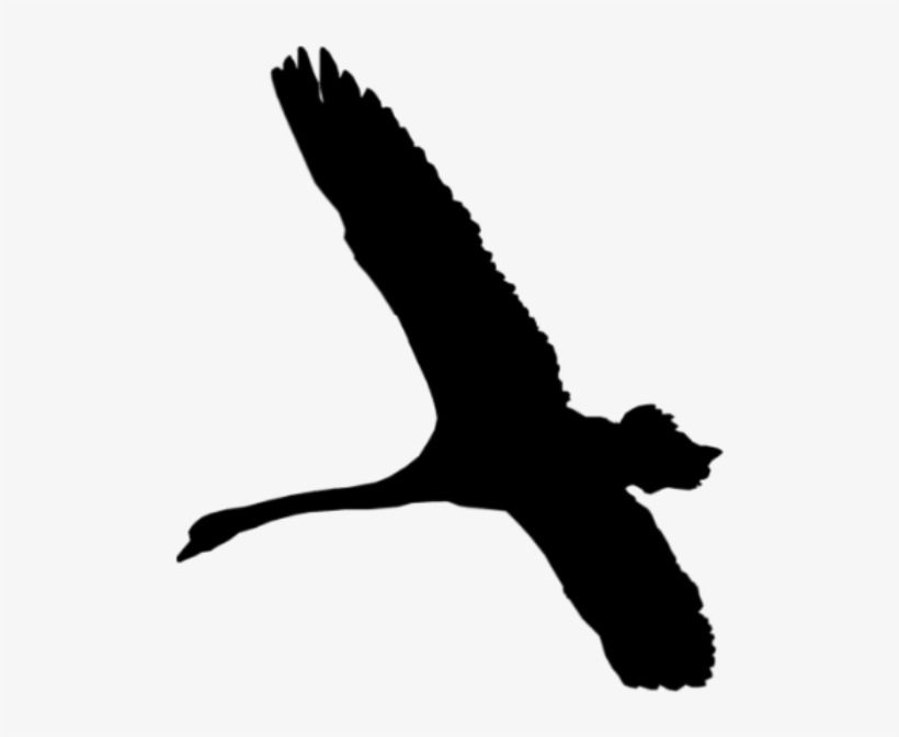 Flying Butterfly Silhouette Clip Art Images & Pictures - Swan Flying Silhouette Png, transparent png #972131