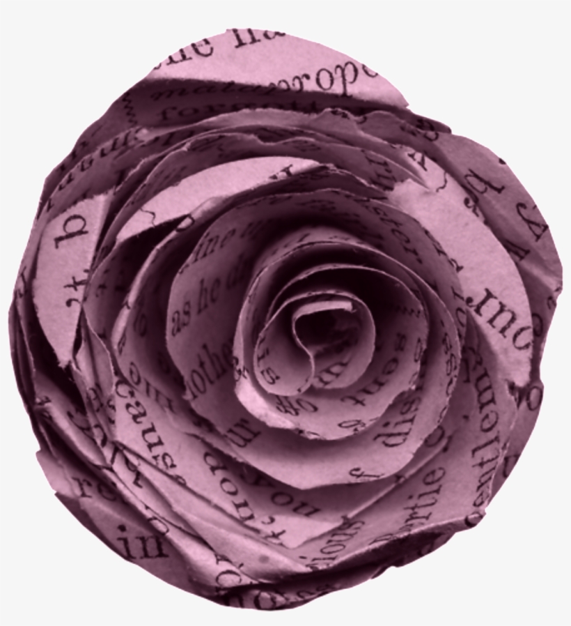 67j58picucx 1024 X Oss Process=image/quality,q 80/watermark - Garden Roses, transparent png #972409