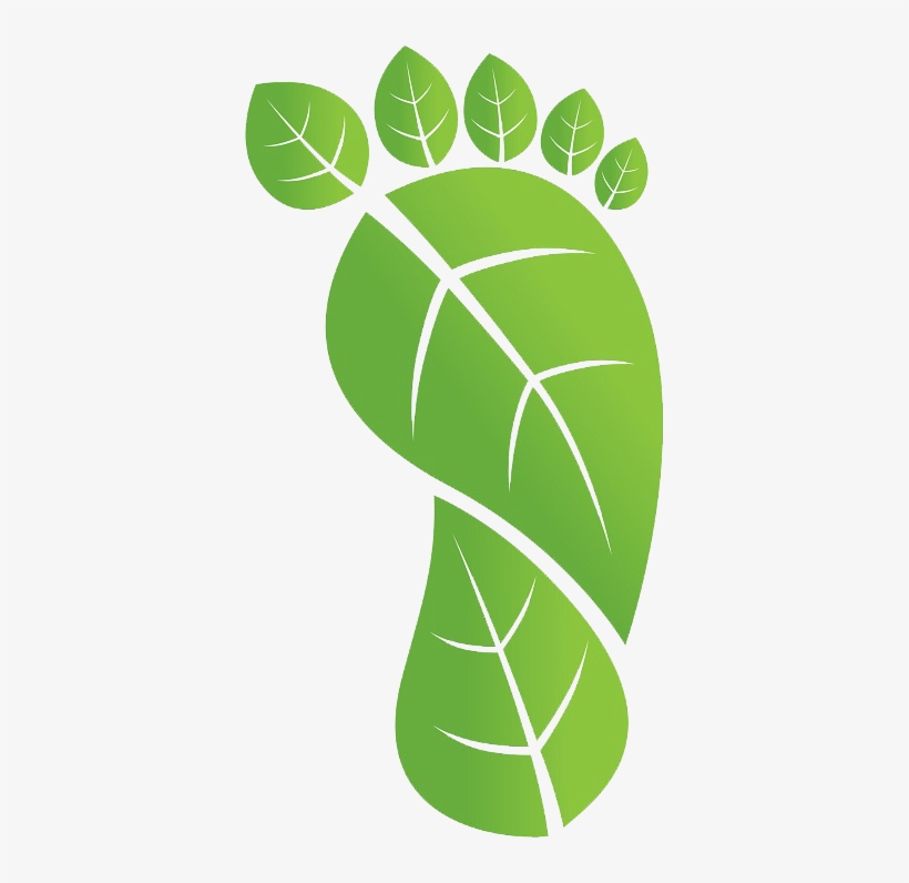 Five Tips For Reducing Your Carbon Footprint In - World Environment Day 2017 Logo, transparent png #972680
