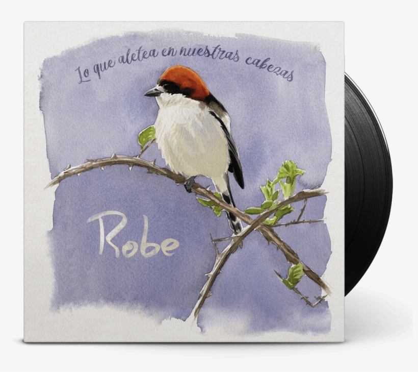 Lo Que Aletea En Nuestras Cabezas, transparent png #972733