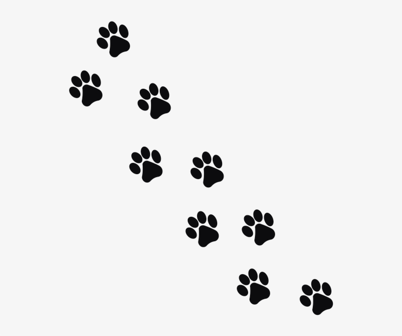 Track 2 - Huellas De Gato Png, transparent png #973048