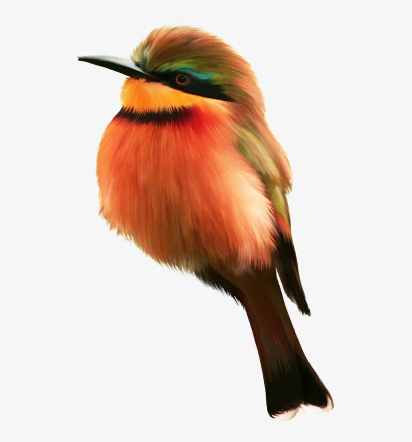 Mixed Media - Animais De Cor Laranja, transparent png #973895