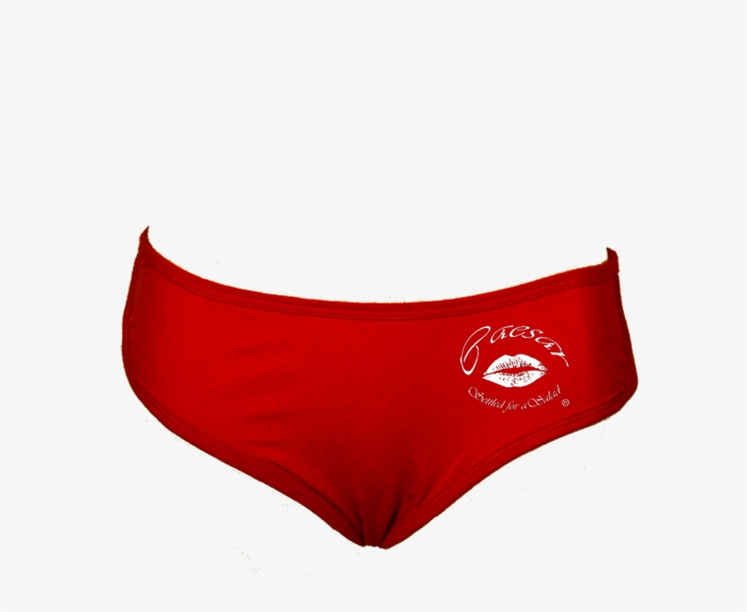 Women's Cotton Panty - Briefs, transparent png #974014