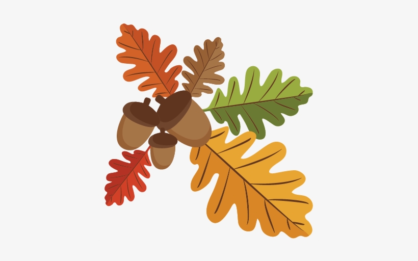 Oak Leaves Svg Scrapbook Cut File Cute Clipart Files - Leaves And Acorns Png, transparent png #975394