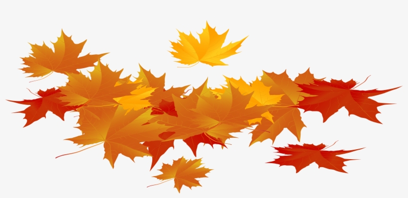 Clip Art, transparent png #975396