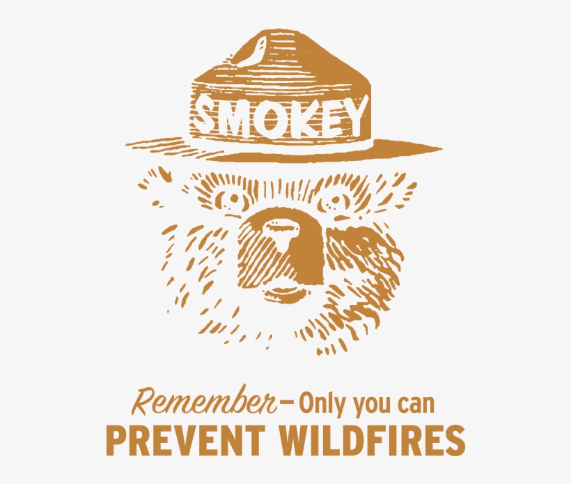 Smokey The Bear Is On His Watch - Semana Da Pessoa Com Deficiencia, transparent png #975632