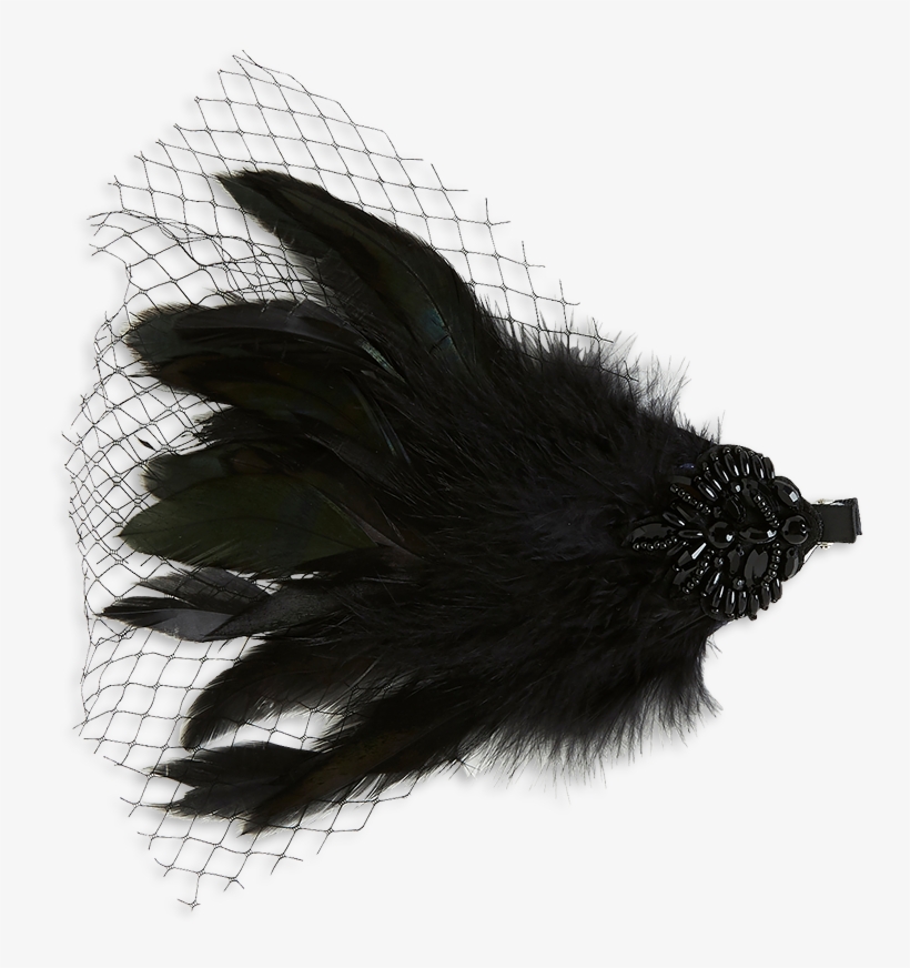 Feather Hair Clip Black Barrette Free Transparent Png Download Pngkey