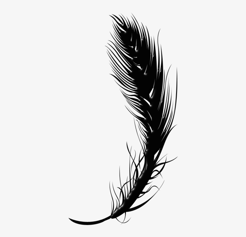 Black Feather Pen Png, transparent png #976061