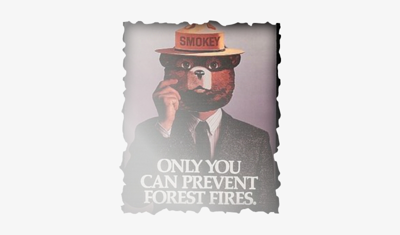 Smokey Bear - Smokey Mask - Vintage Poster (8x12 Acrylic, transparent png #976063