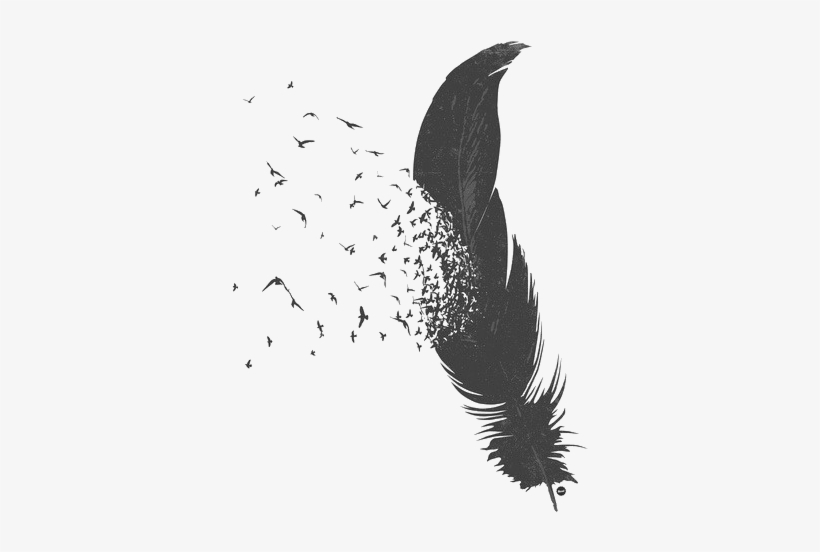 Tumblr Transparent Flying Feather White Pictures Png - Feather Transparent, transparent png #976122